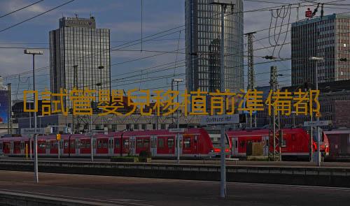 試管嬰兒移植前準備都有什麽
