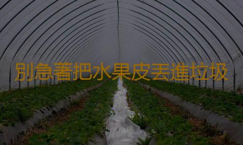 別急著把水果皮丟進垃圾桶 妙用水果皮省錢又環保