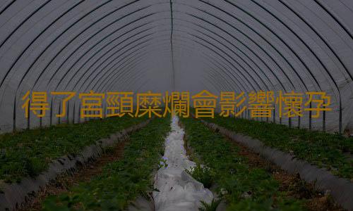 得了宮頸糜爛會影響懷孕嗎?